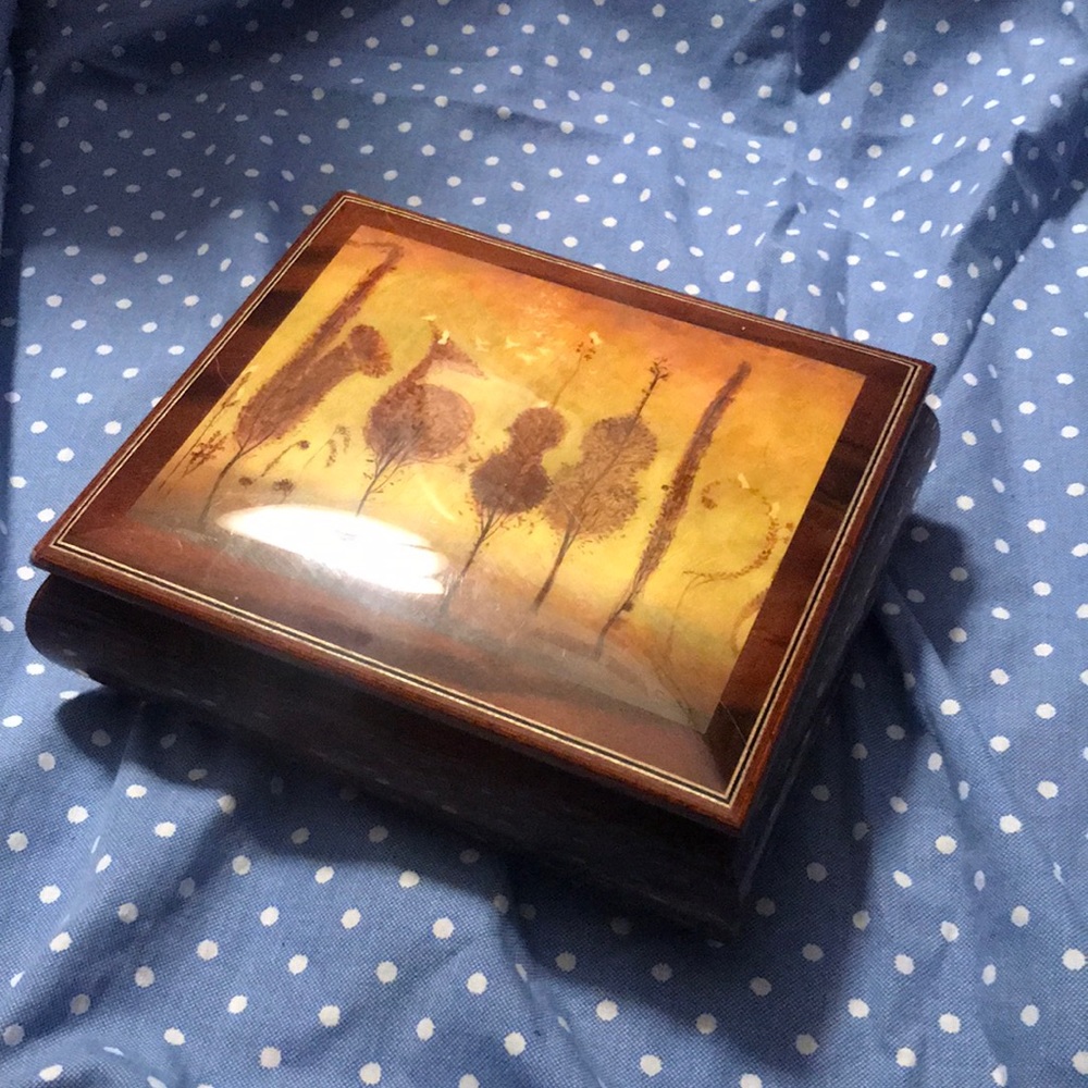 Austrian Jewelry Box